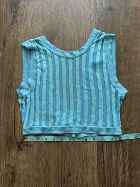 House of Harlow 1960 Blue & Mint Striped Crop Tank